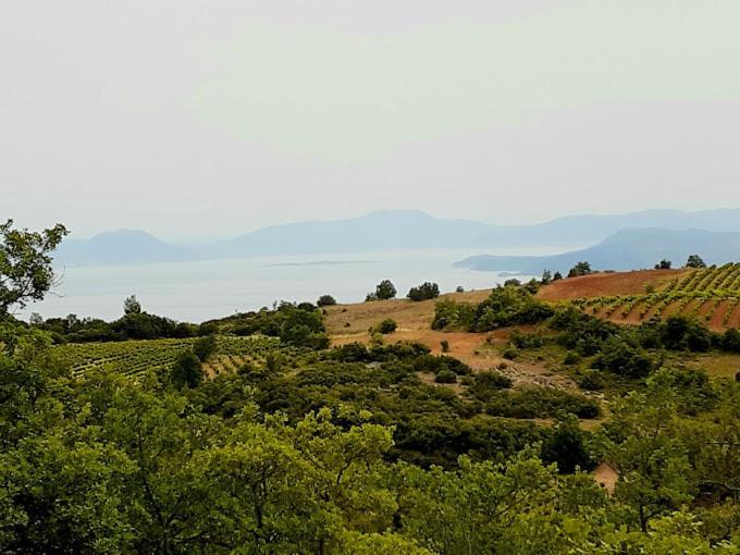 Sto Dimeiko * Krioneri (Corinthia)