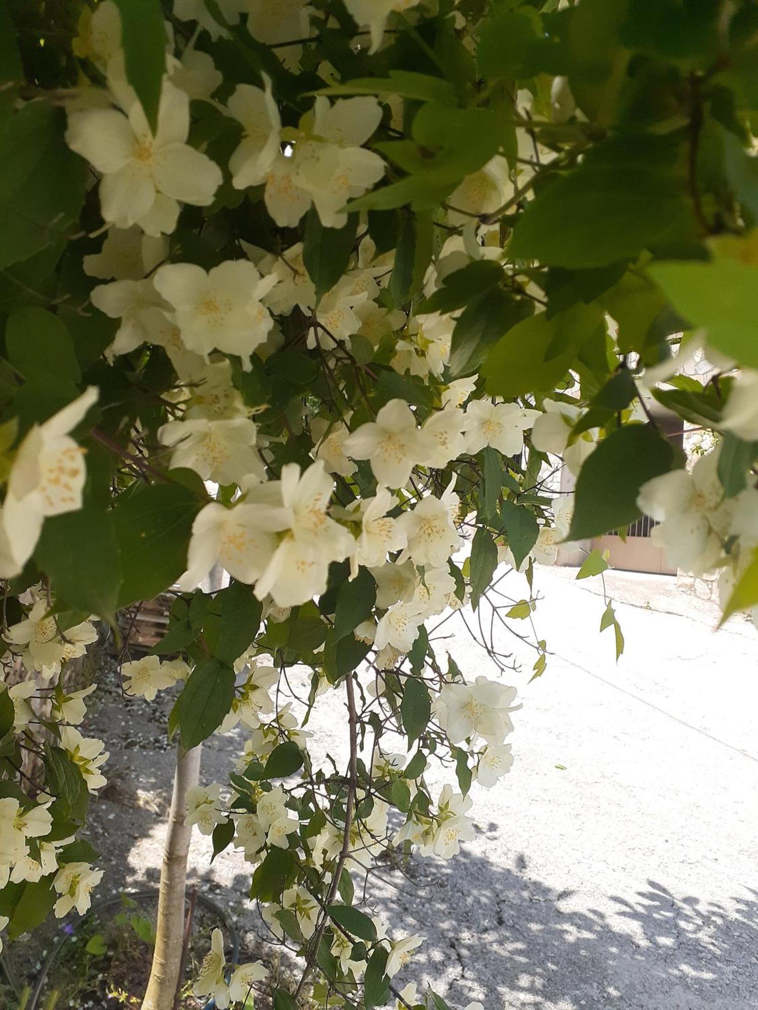 Sto Dimeiko Hébergement de vacances Krionérion