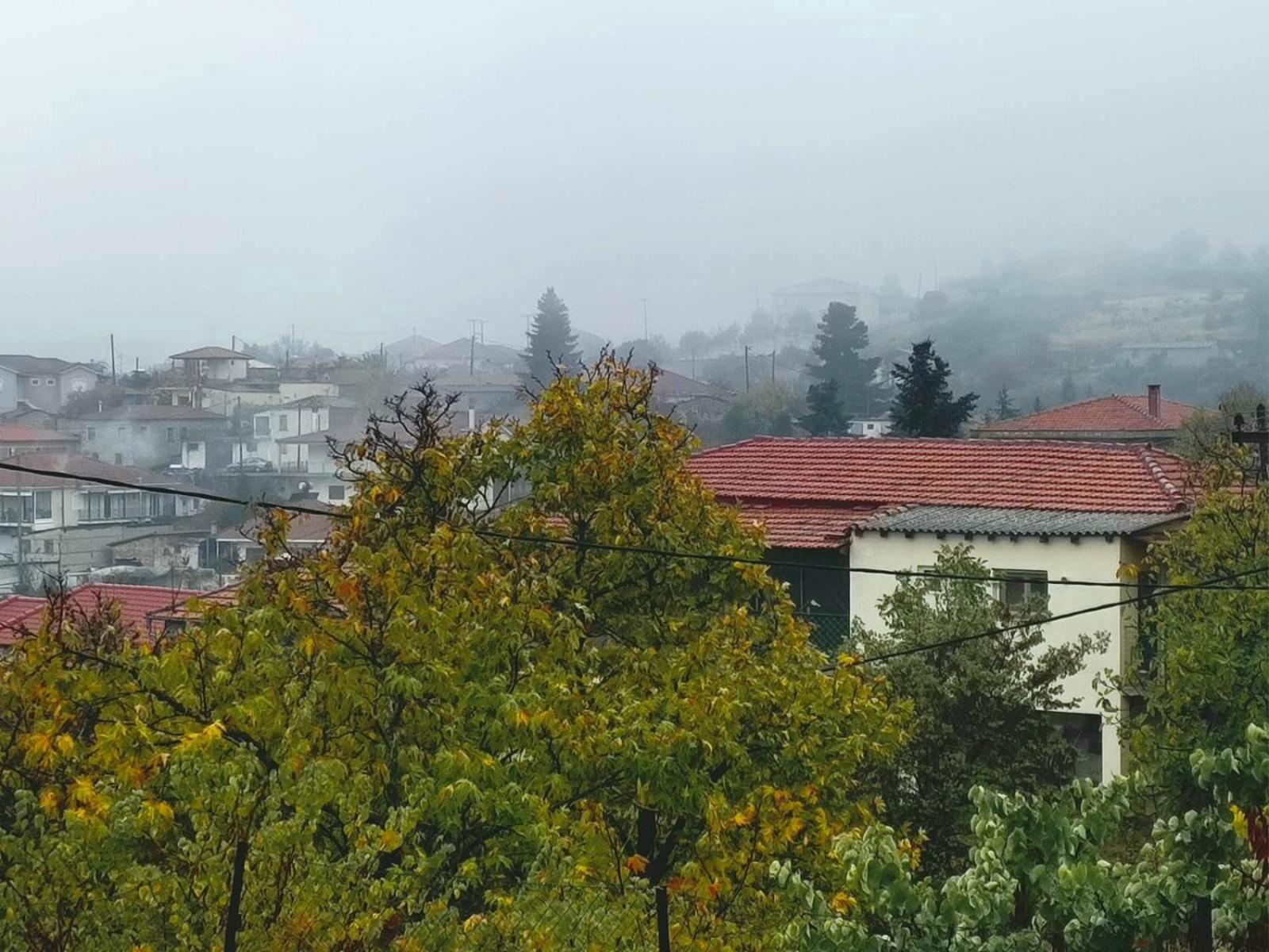 Sto Dimeiko Krioneri (Corinthia)